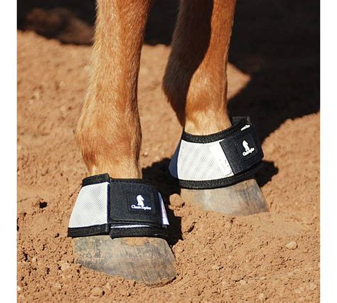 Classic equine - Fast, simple application. Suspensory sling is uniquely positioned for correct angle alignment to ensure lower limb support. Ergonomic design provides a clean, close fit with bound edges to keep out dirt and debris. Lightweight to allow natural movement with support and flexibility. Neoprene body and shock absorbing inner pad reduces shock from impact. …
